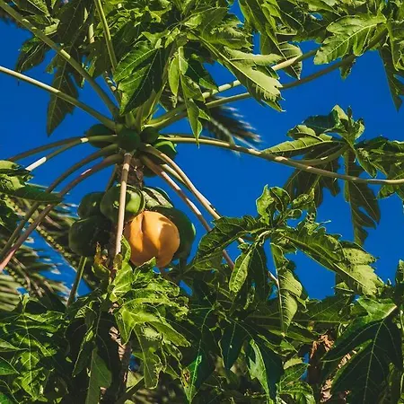 Slowing - Ancora فيلة