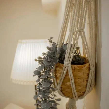 فيلة Slowing - Ancora