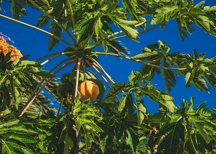 Slowing - Ancora Villa